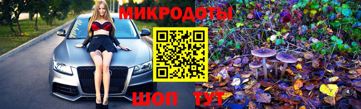 Галлюциногенные грибы прущие грибы Знаменск