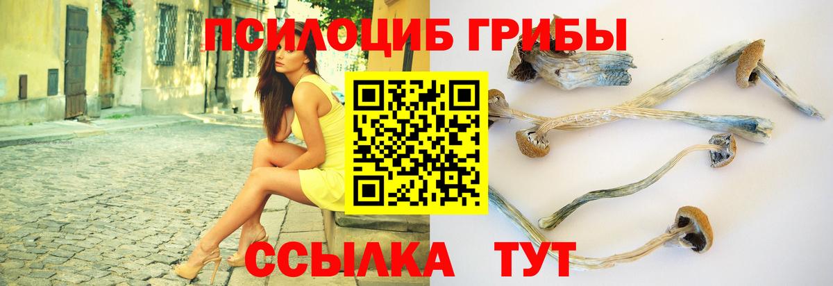 Знаменск  Галлюциногенные грибы Psilocybe  Псилоцибиновые грибы прущие грибы  Вход с VPN 